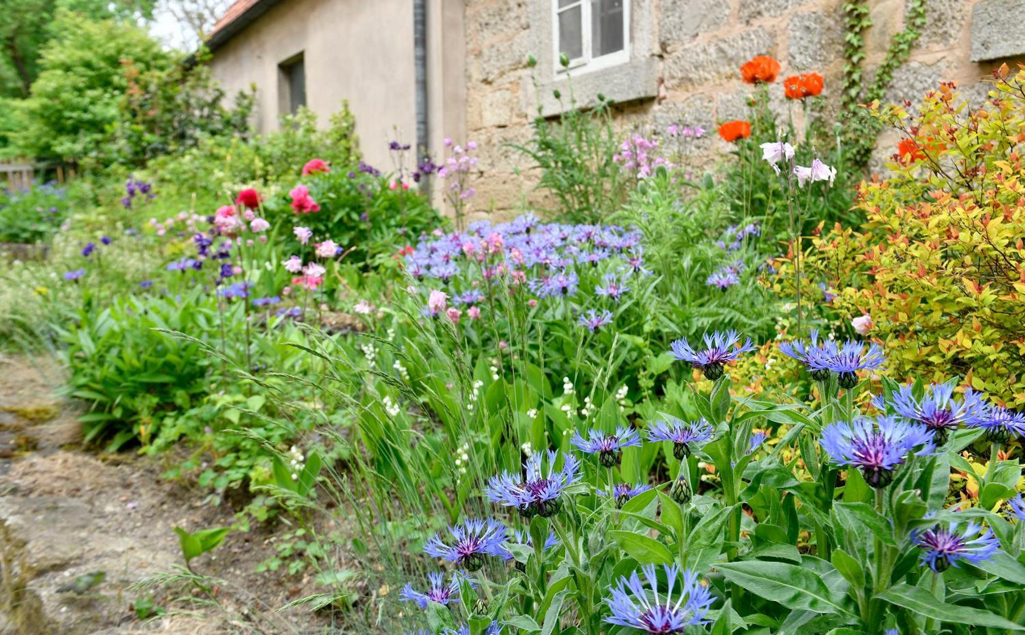 Landhotel Schwarzes Ross Rothenburg ob der Tauber Phòng bức ảnh